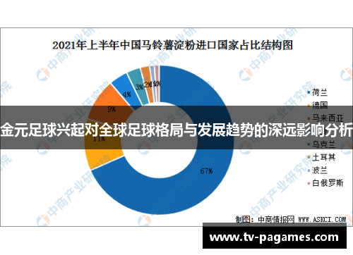 金元足球兴起对全球足球格局与发展趋势的深远影响分析